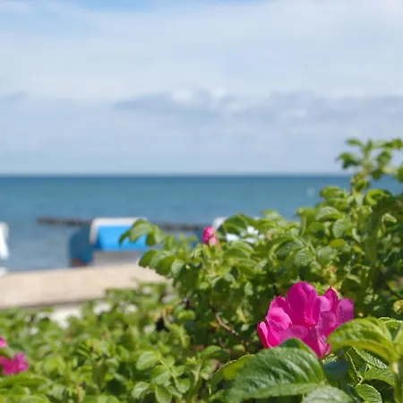 Am - Strandvilla Belvedere *