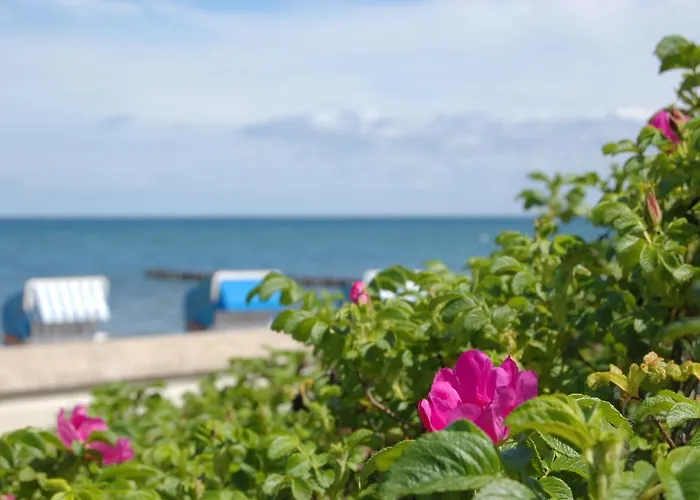 Am - Strandvilla Belvedere *